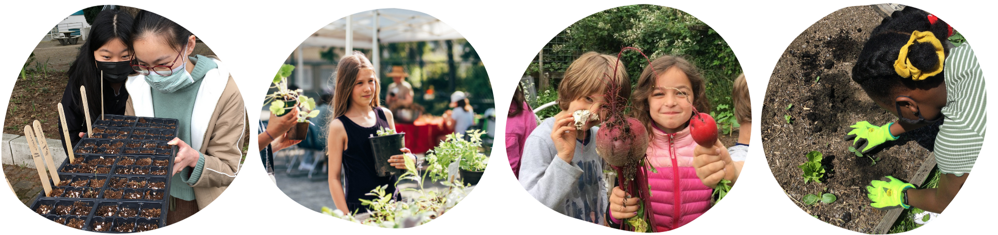 School Garden Mentorship Program - Farm to School BC